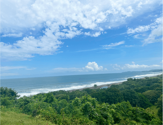 tropical-rain-forest-san-juan 1 (1)