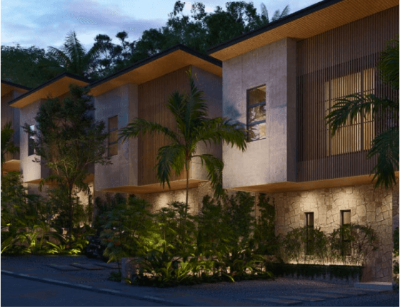 tropical-rain-forest-san-juan 2 (1)